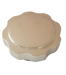 bouchon de radiateur adaptable