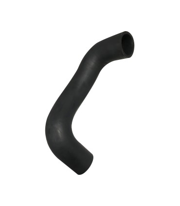 durite inférieur Peugeot 203