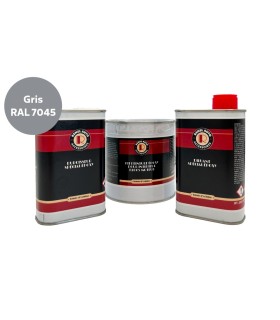 kit pot de peinture intérieur moteur haute résistance gris RAL 7045 (250/500ml)