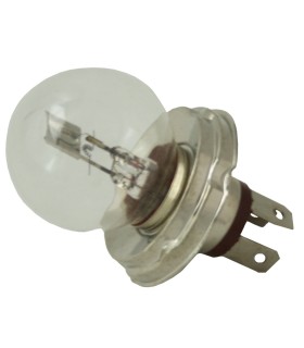ampoule de phare blanc 6v code européen